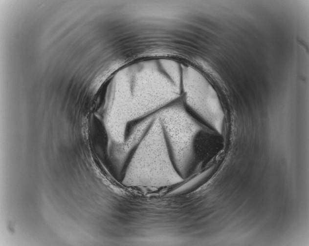X0000101171329200807251124