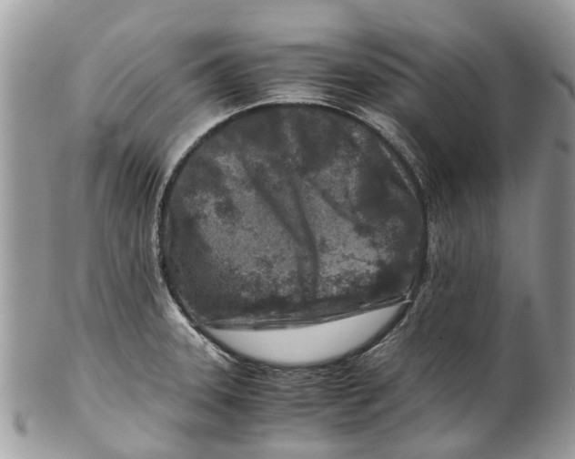 X0000101171331200807251124