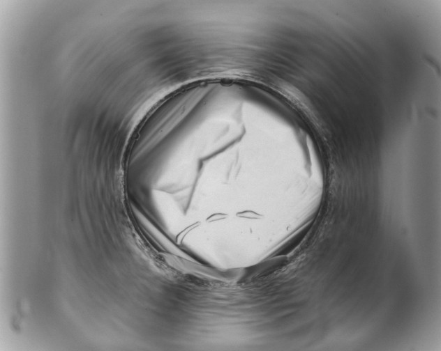 X0000101171332200807251124