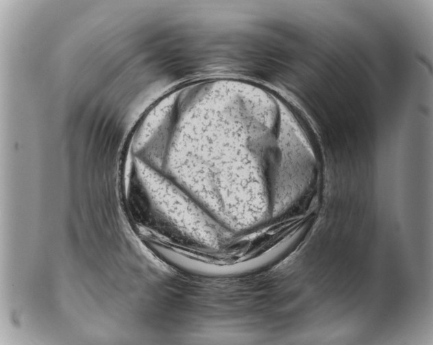X0000101171333200807251124