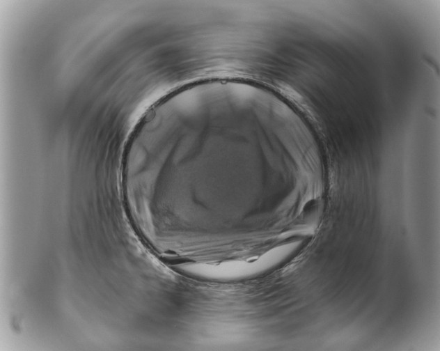 X0000101171334200807251124