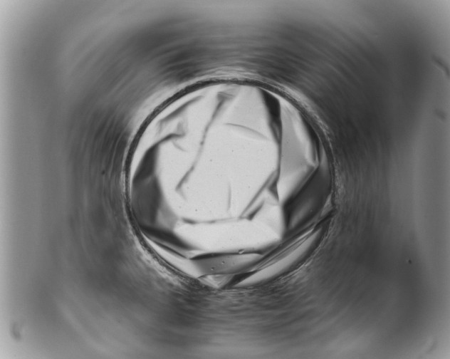 X0000101171335200807251124