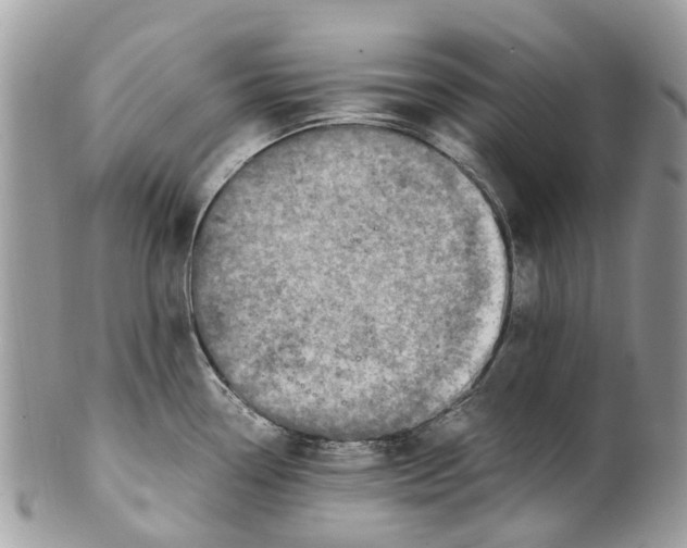 X0000101171338200807251124