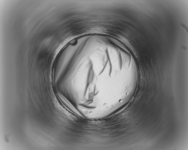 X0000101171339200807251124