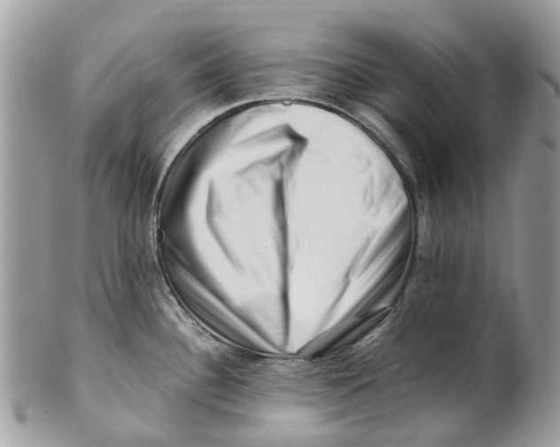 X0000101171340200807251124