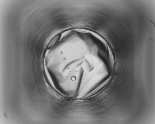 X0000101171342200807251124