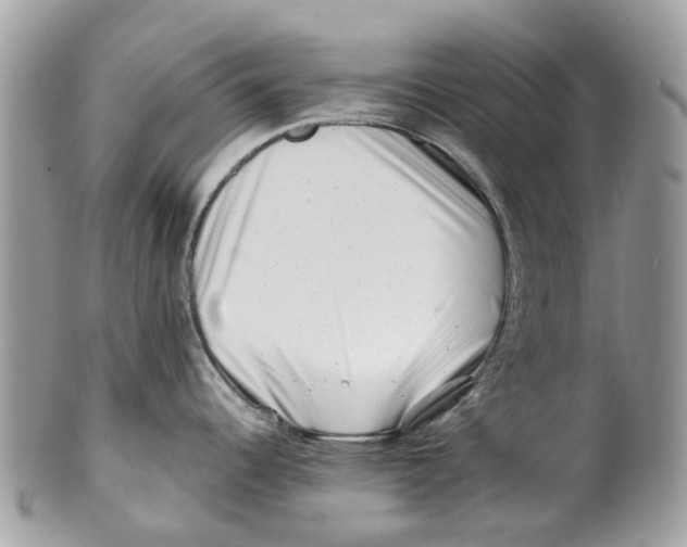 X0000101171344200807251124