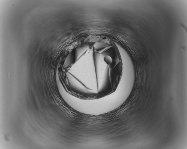 X0000101171348200807251123