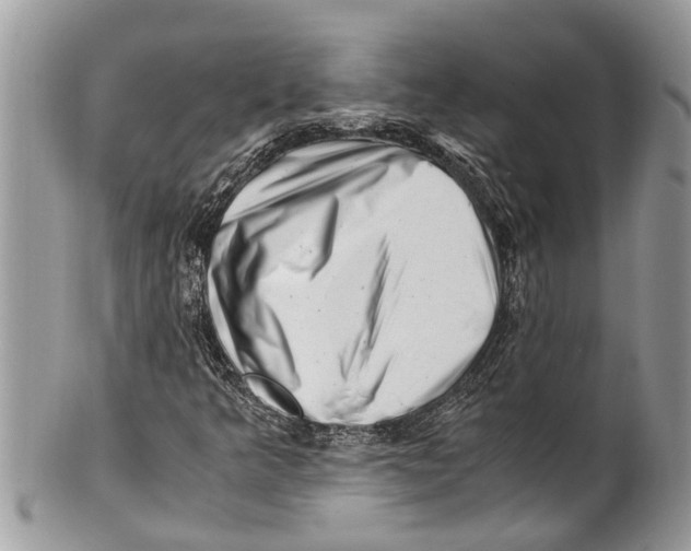 X0000101171349200807251123