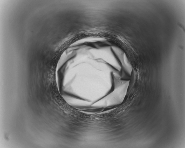 X0000101171350200807251123