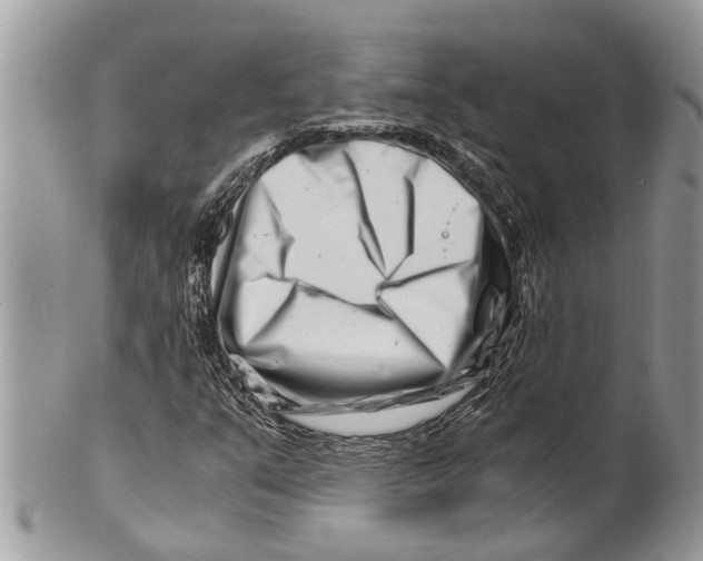 X0000101171351200807251123