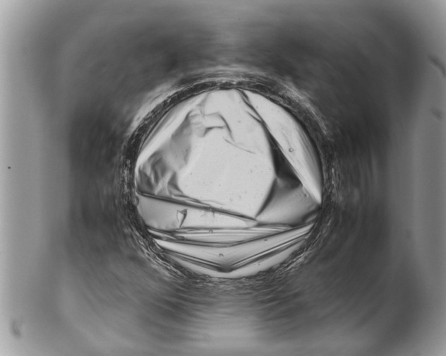 X0000101171352200807251123