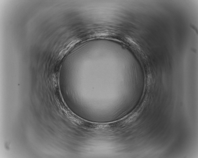 X0000101171353200807251123