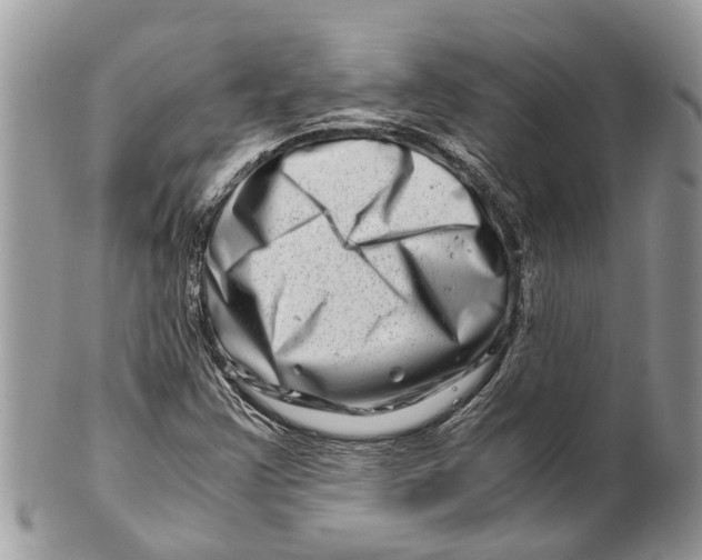 X0000101171355200807251123