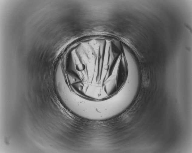 X0000101171356200807251123