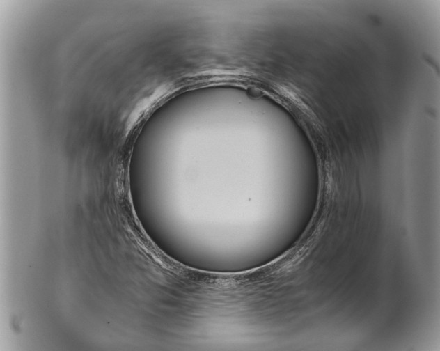 X0000101171357200807251123