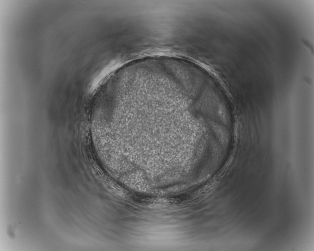 X0000101171359200807251123