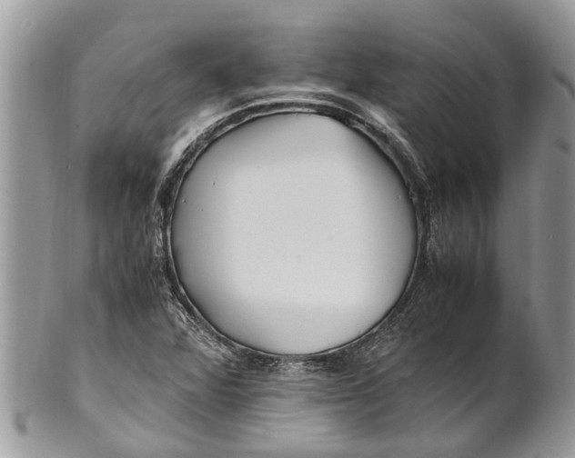 X0000101171360200807251123