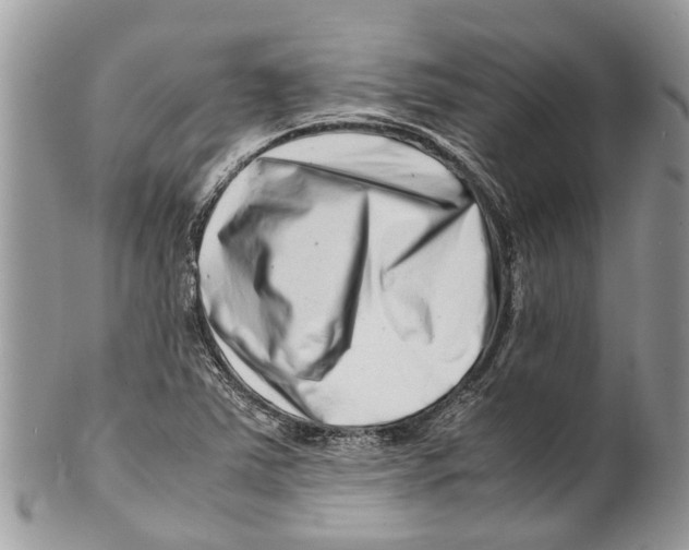 X0000101171363200807251123