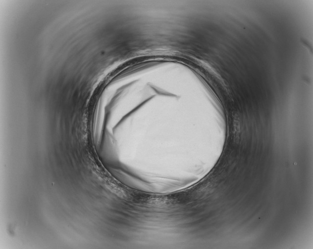 X0000101171364200807251123
