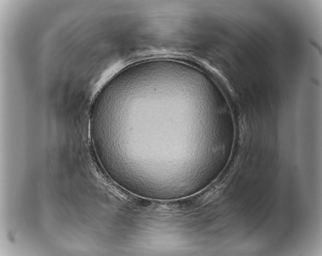 X0000101171365200807251123