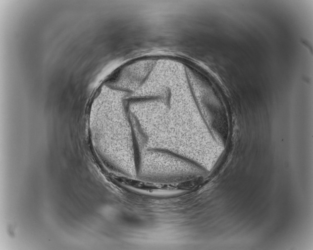 X0000101171367200807251123