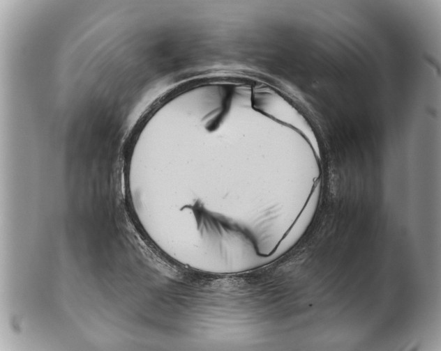 X0000101171368200807251123