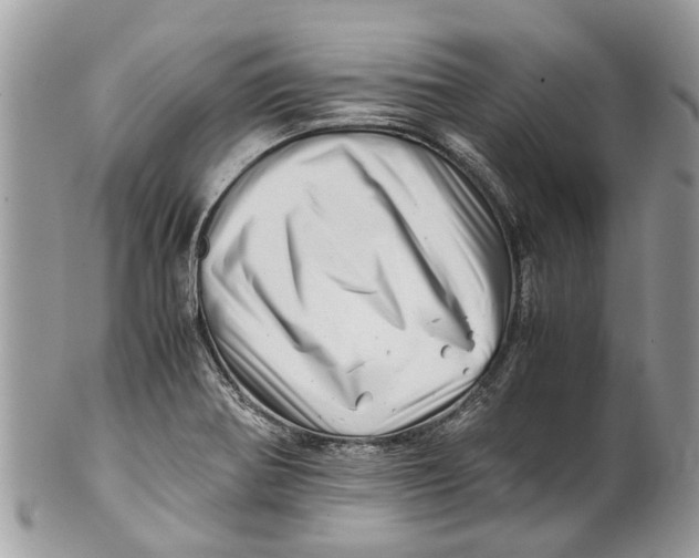 X0000101171370200807251123