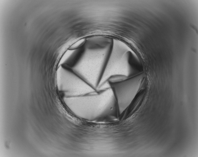 X0000101171371200807251123