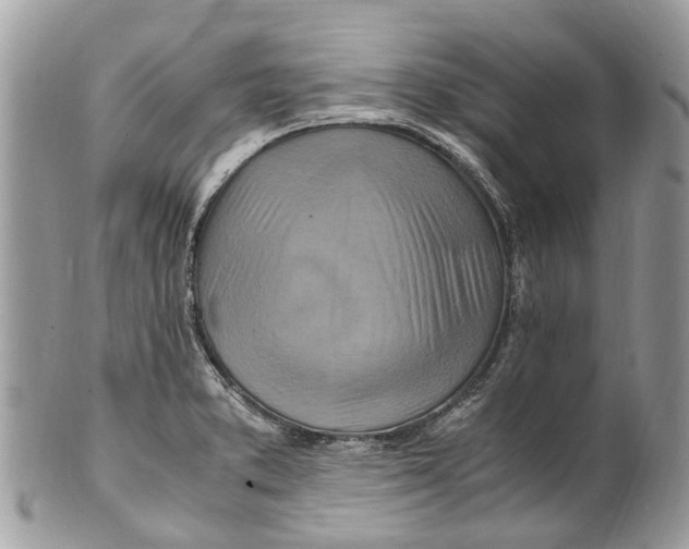 X0000101171373200807251123