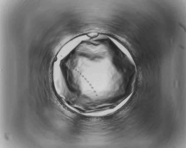 X0000101171375200807251123