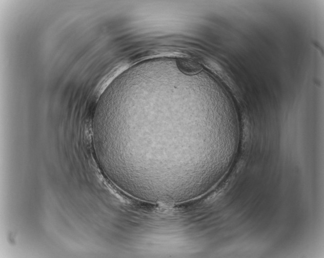 X0000101171377200807251123