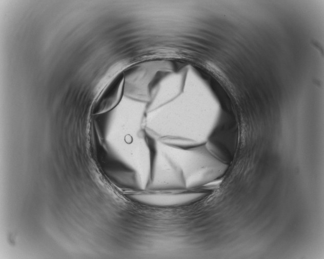 X0000101171378200807251123