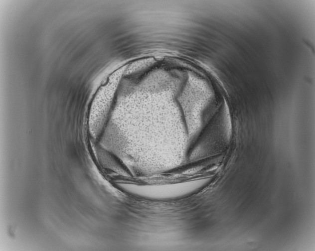 X0000101171379200807251123