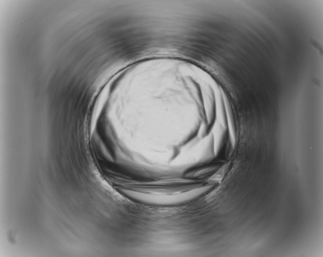 X0000101171382200807251123