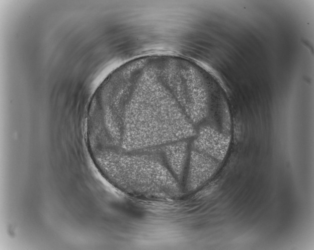 X0000101171383200807251123