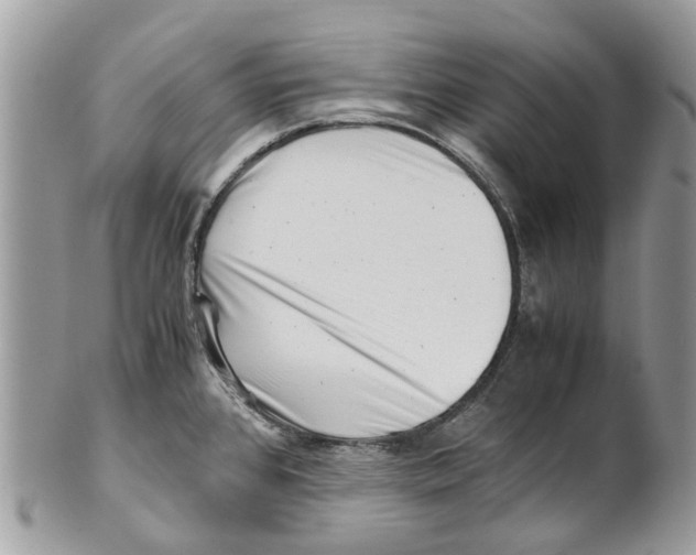 X0000101171384200807251123
