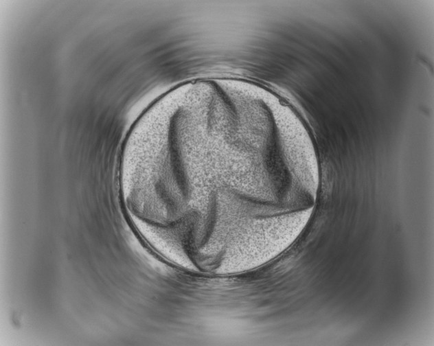 X0000101171387200807251123