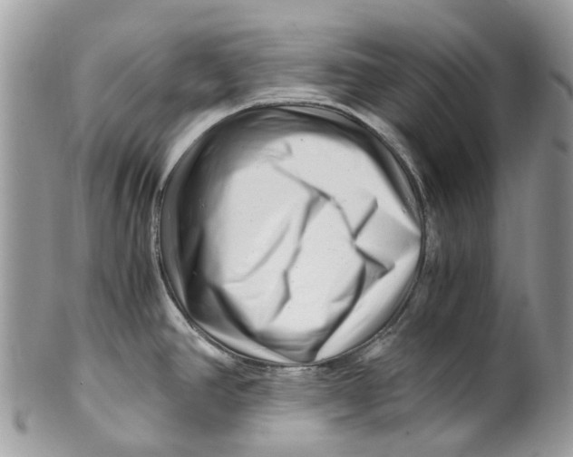 X0000101171390200807251123