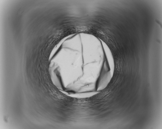 X0000101171393200807251122