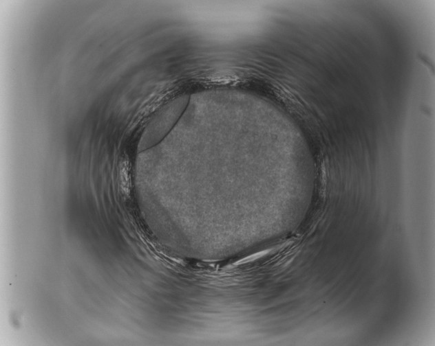 X0000101171394200807251122