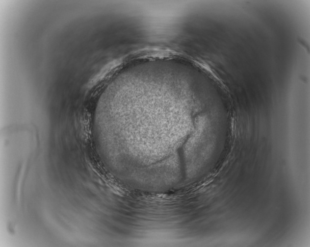 X0000101171399200807251122