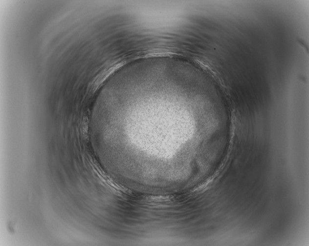 X0000101171401200807251122