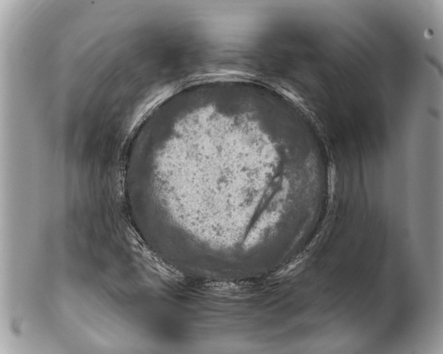 X0000101171405200807251122