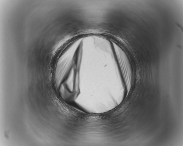 X0000101171406200807251122