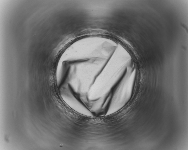 X0000101171407200807251122