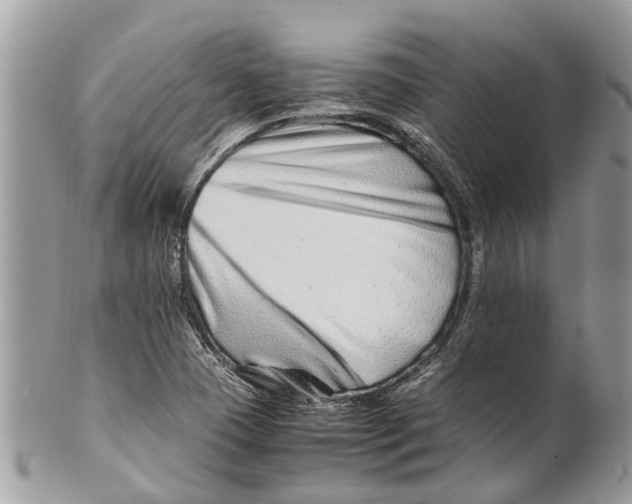 X0000101171409200807251122