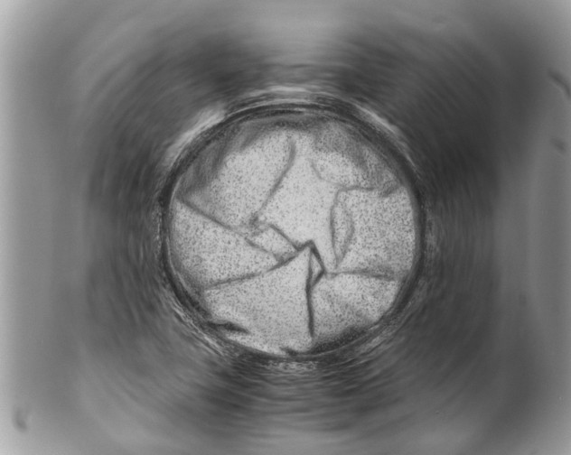 X0000101171411200807251122