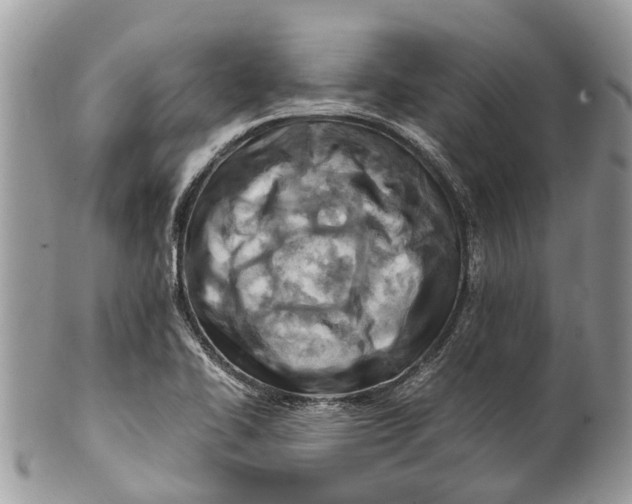 X0000101171414200807251122
