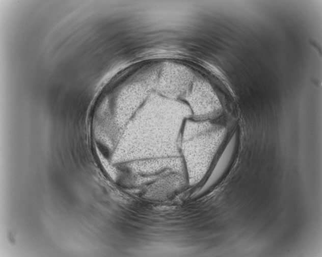 X0000101171419200807251122